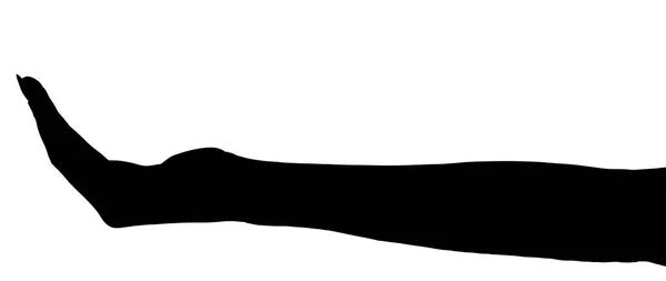 Силуэт Руки Изолированный Белый Фон Показывающий Жест Держит Принимает Дает — стоковое фото