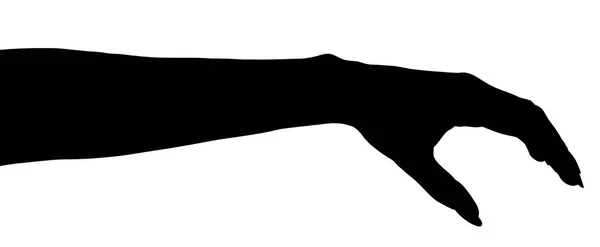 Силуэт Руки Изолированный Белый Фон Показывающий Жест Держит Принимает Дает — стоковое фото