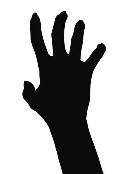 Sziluett Egy Kéz Elszigetelt Fehér Háttér Mutató Gesztus Tart Valamit — Stock Fotó