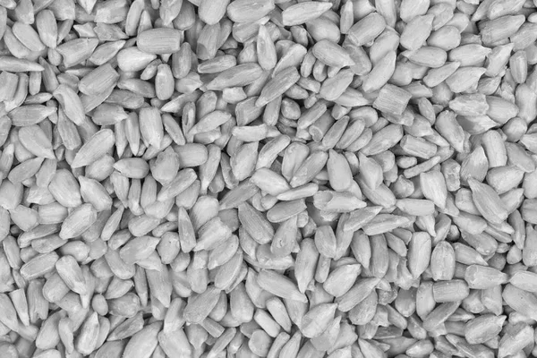 Peeled Sunflower Seeds Background Texture — Stock Photo, Image