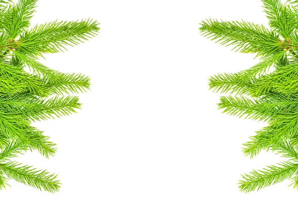 Spar Tak Geïsoleerd Witte Achtergrond Groene Spar Kerstboom Set Voor — Stockfoto