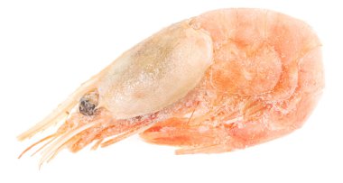 Beyaz arka planda soyulmamış donmuş karides. yakın plan