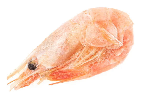 Unpeeled Frozen Shrimp White Background Close — Stock Photo, Image