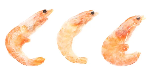 Unpeeled Frozen Shrimp White Background Close — Stock Photo, Image