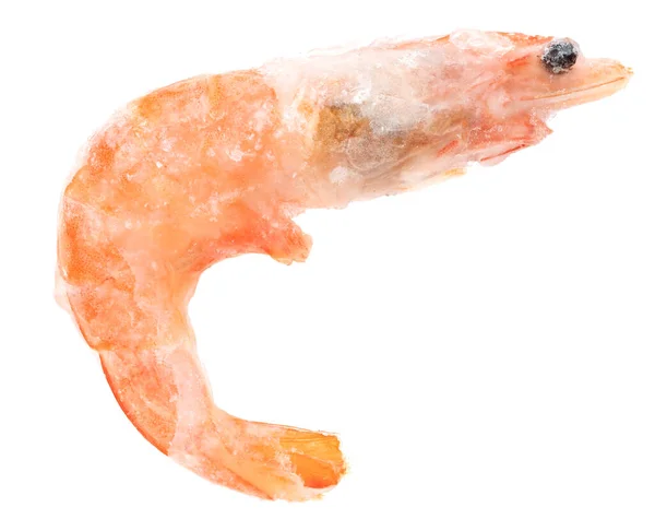 Unpeeled Frozen Shrimp White Background Close — Stock Photo, Image