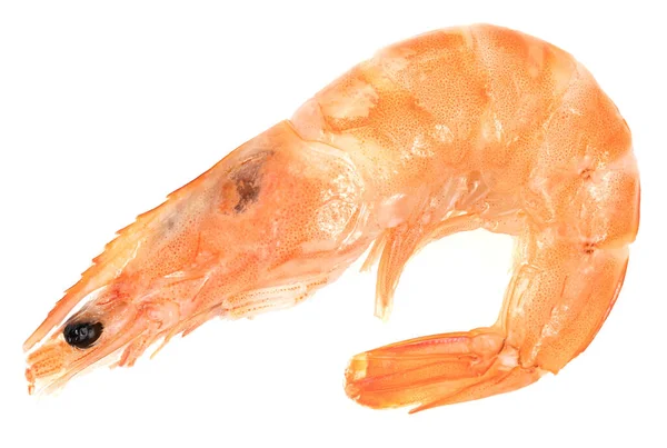 没有剥皮的鲜虾在白色背景上被隔离 特写镜头 — 图库照片