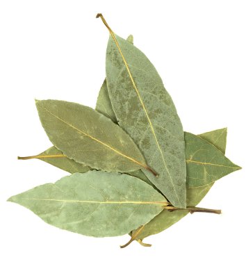 Saha yaprağı beyaz arkaplanda izole edildi