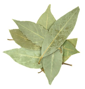 Saha yaprağı beyaz arkaplanda izole edildi