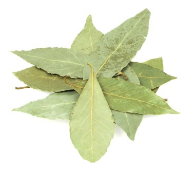 Saha yaprağı beyaz arkaplanda izole edildi