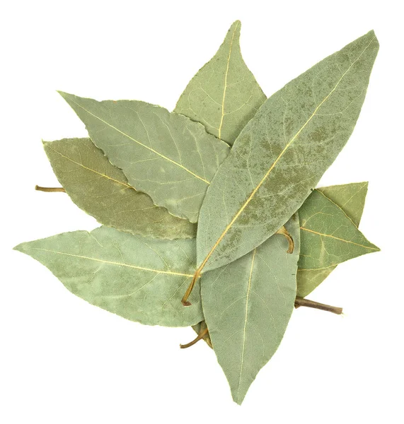 Saha yaprağı beyaz arkaplanda izole edildi