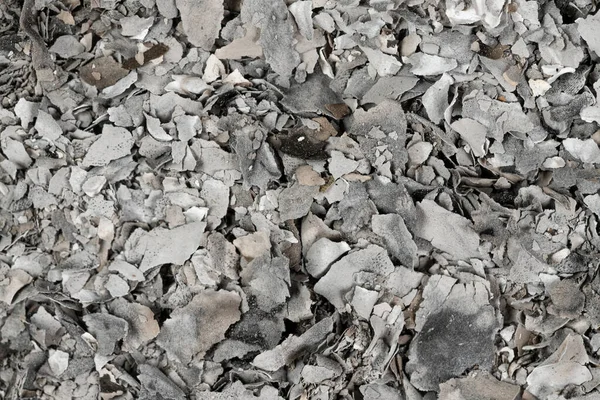 Textura Papel Queimado Cinzas Fundo Cinder Close — Fotografia de Stock