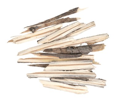 Kuru ağaç dalları beyaz arka planda izole edilmiş. Kırık tahta parçaları. Küçük tahta parçaları yakın plan.