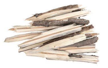 Kuru ağaç dalları beyaz arka planda izole edilmiş. Kırık tahta parçaları. Küçük tahta parçaları yakın plan.