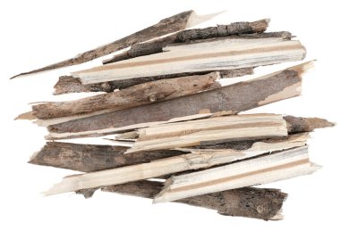 Kuru ağaç dalları beyaz arka planda izole edilmiş. Kırık tahta parçaları. Küçük tahta parçaları yakın plan.