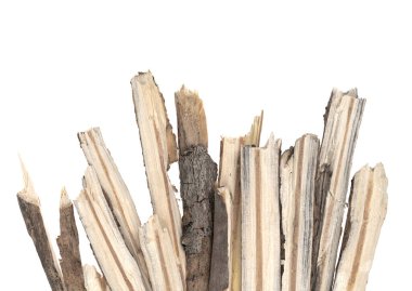 Kuru ağaç dalları beyaz arka planda izole edilmiş. Kırık tahta parçaları. Küçük tahta parçaları yakın plan.