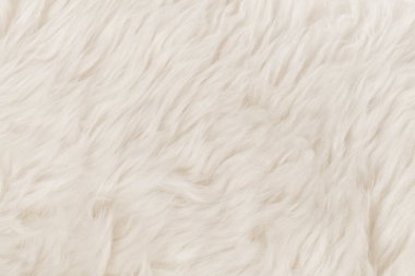 Beyaz kabarık yün dokusu. Doğal kürk dokusu. Tasarımcılar için yakın plan