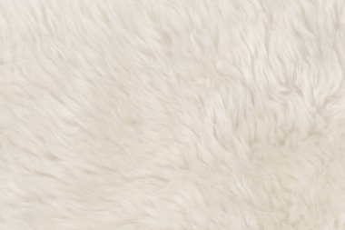 Beyaz kabarık yün dokusu. Doğal kürk dokusu. Tasarımcılar için yakın plan