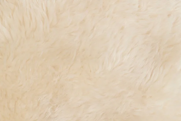 Bej Kabarık Yün Doku Arka Planı Beyaz Doğal Kürk Dokusu — Stok fotoğraf
