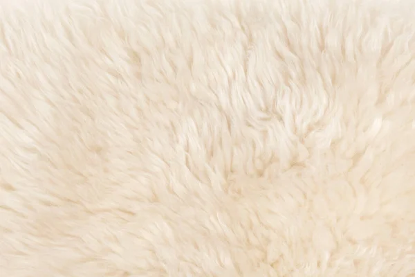 Bej Kabarık Yün Doku Arka Planı Beyaz Doğal Kürk Dokusu — Stok fotoğraf