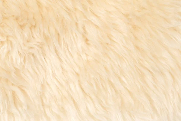 Бежевый Пушистый Шерстяной Фон Текстуры Текстура Белого Натурального Меха Крупный — стоковое фото