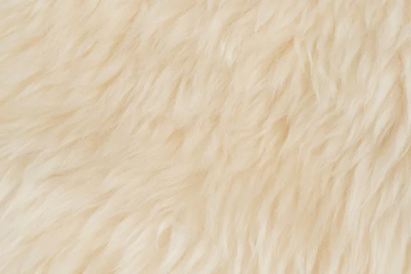 Μπεζ Χνουδωτό Φόντο Υφή Μαλλί Λευκή Φυσική Υφή Γούνας Close — Φωτογραφία Αρχείου