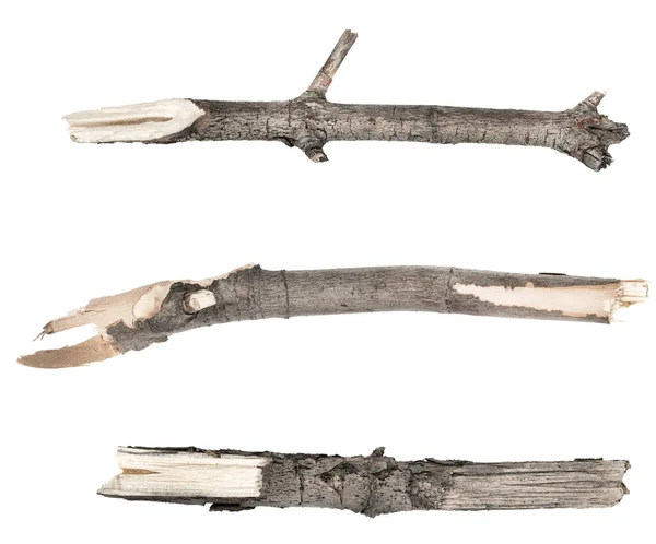乾燥した木の小枝の枝は白い背景に孤立しています 壊れた板の破片だ コラージュ小さな木のチップを閉じる — ストック写真