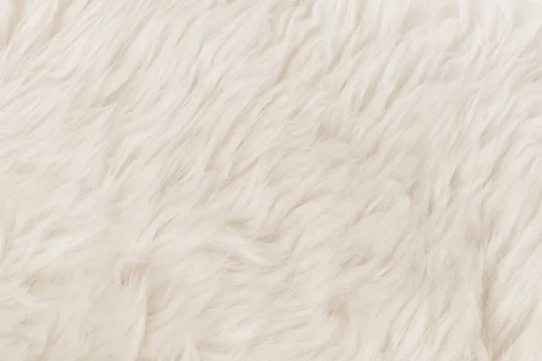 白いふわふわのウールの質感の背景 天然の毛皮の質感 デザイナーにとってのクローズアップは — ストック写真