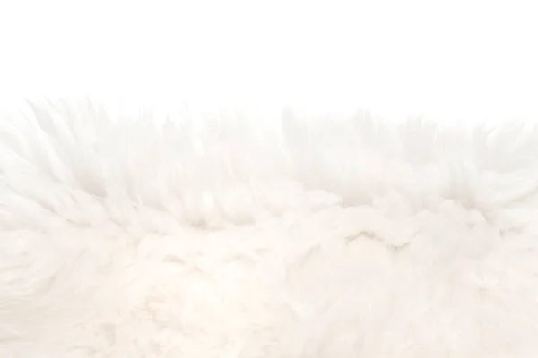 Białe Puszyste Tekstury Wełny Izolowane Białe Tło Naturalna Struktura Futra — Zdjęcie stockowe