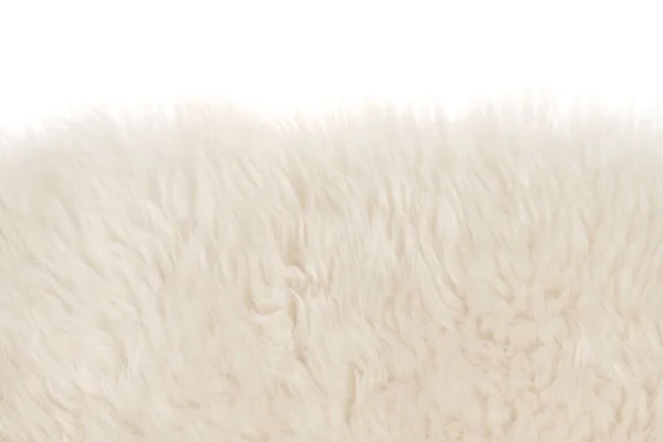 White Fluffy Wool Texture Isolated White Background Natural Fur Texture — Stock Photo, Image