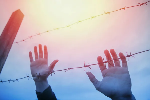 Mülteciler ve çitler. Mülteci birliği