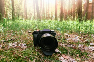 professional camera on grass in the fores