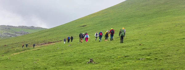 Hikers group traveling in the mountain