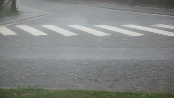 Lluvia y granizo — Vídeos de Stock