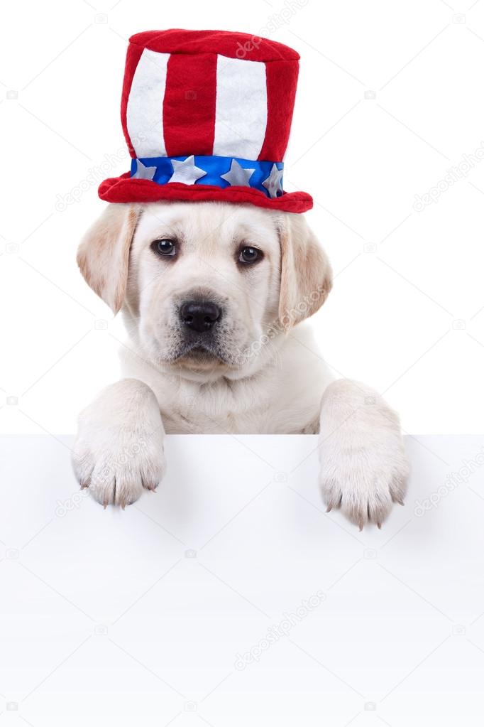 Patriotic Dog Sign