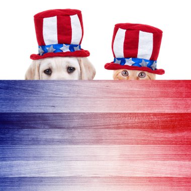 Vatansever Amerikan Evcil Hayvan Labrador köpeği ve kedi yavrusu 4 Temmuz vatansever partisi daveti için kırmızı, beyaz, mavi tabela üzerinde kedi yavrusu.