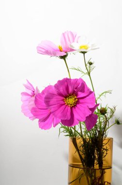 Işık arkaplanındaki vazoda parlak güzel çiçekler, yakın görünüm  