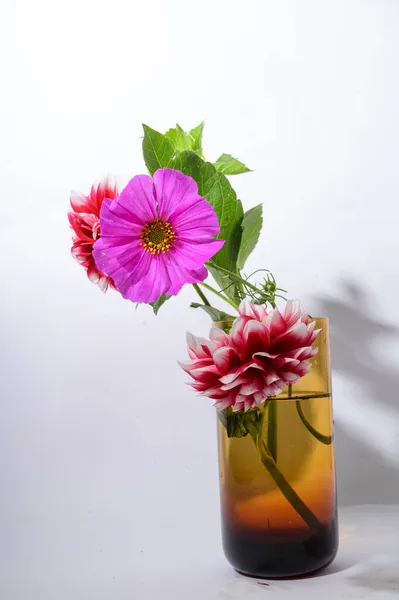 Bright Beautiful Flowers Vase Light Background Close View — Stock Photo, Image