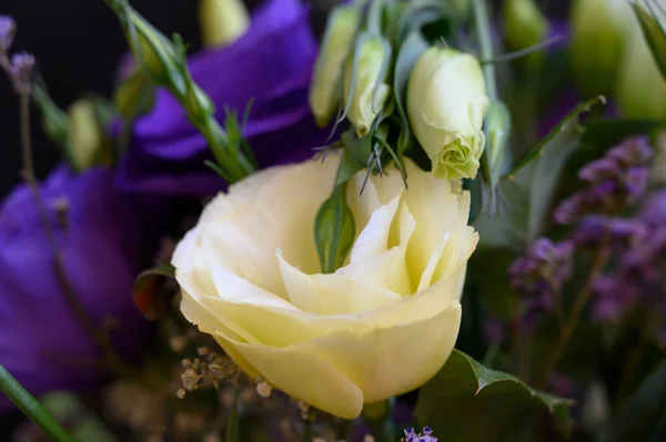 Bouquet Belles Fleurs Sur Fond Sombre Concept Été Vue Rapprochée — Photo
