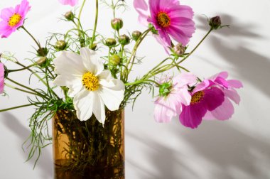 Vazoda güzel taze çiçekler, çiçek konsepti