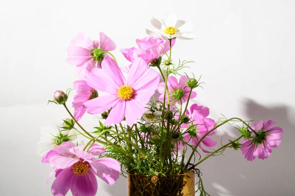 Schöne Zarte Blumen Der Vase Florales Konzept — Stockfoto