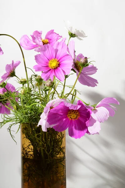 Vazoda güzel taze çiçekler, çiçek konsepti