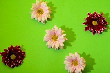 Çiçekli ve gölgeli yeşil arkaplan