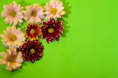 Çiçekli yeşil arkaplan ve kopyalama alanı