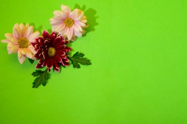 Çiçekli yeşil arkaplan ve kopyalama alanı