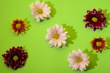 Çiçekli ve gölgeli yeşil arkaplan