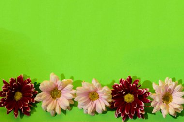 Çiçekli yeşil arkaplan ve kopyalama alanı