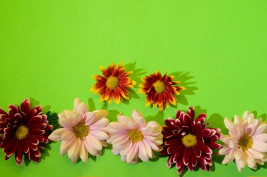 Çiçekli ve gölgeli yeşil arkaplan