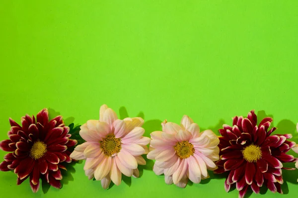 Fundo Verde Com Flores Espaço Cópia — Fotografia de Stock