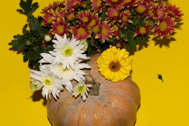 Balkabaklı güzel çiçekler, Cadılar Bayramı konsepti