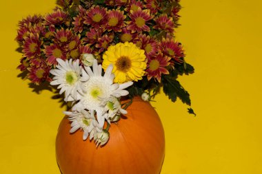 Balkabaklı güzel çiçekler, Cadılar Bayramı konsepti, sarı arka plan